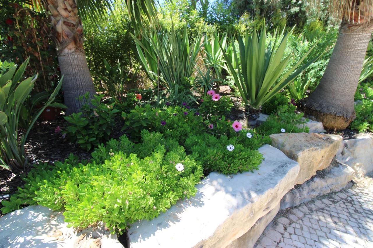 Charming Exceptional Golf Villa In Algarve Dystrykt Dystrykt Faro Zewnętrze zdjęcie